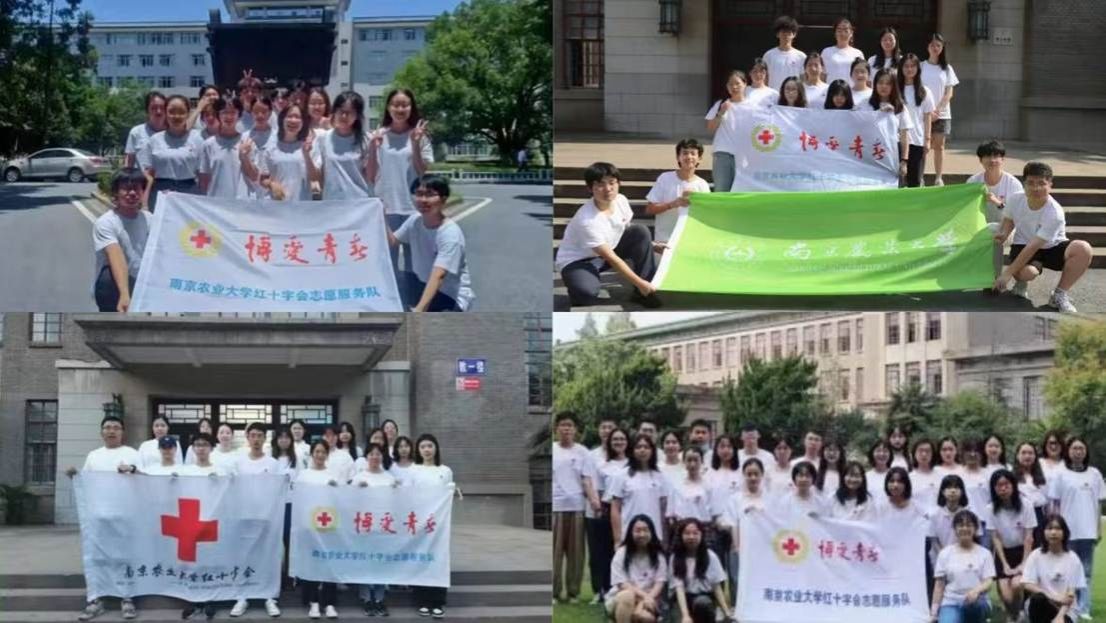 c1d9c909c31cd70cff2b81792a2ff054